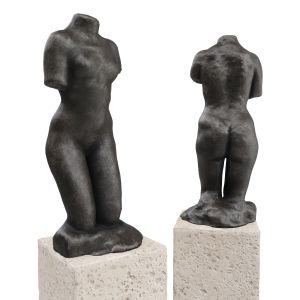 Rodin Woman Torso