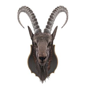 Siberian Ibex