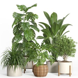 Indoor Plant Set 41-stone And Rattan