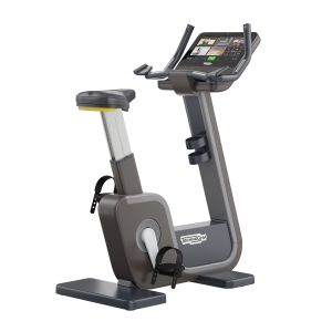 Technogym Artis Bike