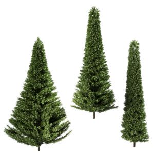 A Set Of Fir Trees Of Different Diameters