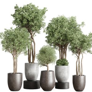 Collection Indoor Outdoor Plant 126 Vase Concrete