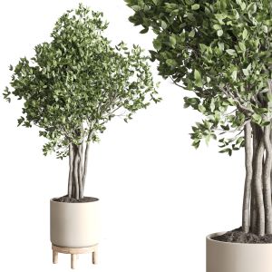 Indoor Outdoor Plant 123 Pot Tree Wooden Vase