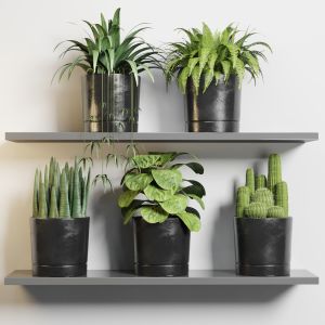 Collection Indoor Outdoor 124 Plant Pot On Shelf D