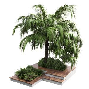 Collection Outdoor Plant 58 Garden Pot Tree Palm B