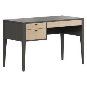 Dantone Home Verona Desk