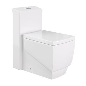 Woodbridge Elongated One-piece Toilet