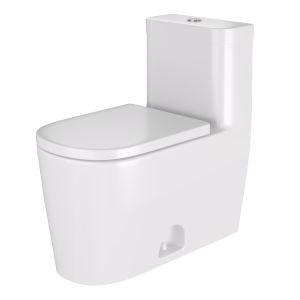 Duravit One-piece Toilet