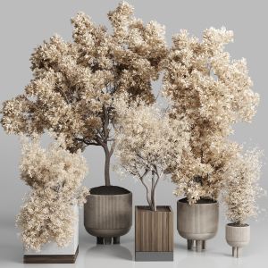 Indoor Plant Autumn Set 333 Concrete Vase Plant Tr