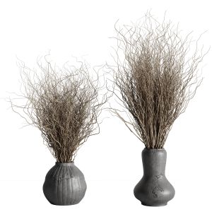 Dried Branches With Concrete Vase - Bouquet 29