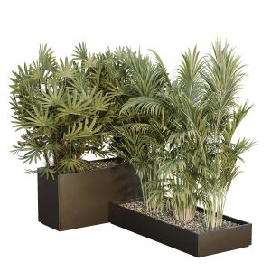 Hq Tree And Bush Garden Box Outdoor  Vol 44