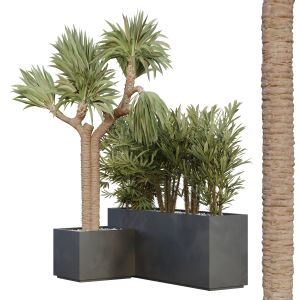 Hq Tree And Bush Garden Box Outdoor  Vol 45