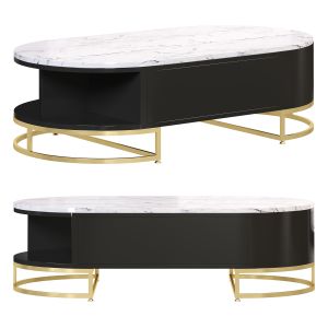 Modern White Oval Storage Coffee Table By Homary