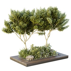 Hq Tree And Bush Garden Box Outdoor  Vol 46