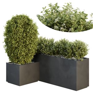 Hq Tree And Bush Garden Box Outdoor  Vol 46