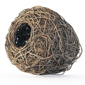 Nest N1