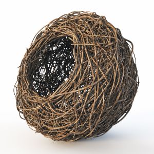 Nest N2