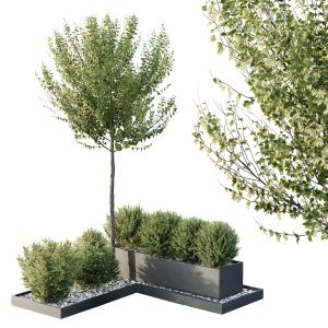 Tree And Bush Garden Box Outdoor  Vol 48