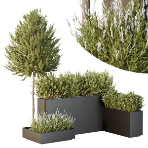 Hq Tree And Bush Garden Box Outdoor  Vol 50