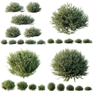 5 Different SETS of Bush. SET VOL130