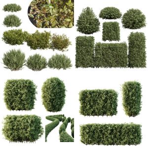 5 Different SETS of Bush. SET VOL131