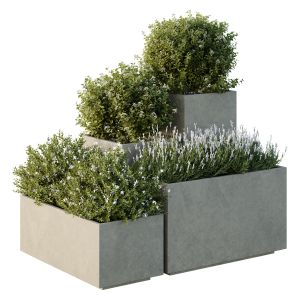 Hq Tree And Bush Garden Box Outdoor  Vol 51