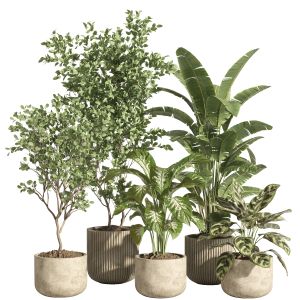 Indoor Plant Set 67-concrete Pot