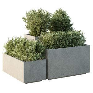 Hq Tree And Bush Garden Box Outdoor  Vol 52