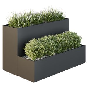 Hq Tree And Bush Garden Box Outdoor  Vol 53