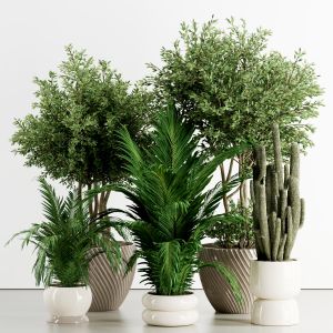 Indoor Plant In Stone Pot Set 80