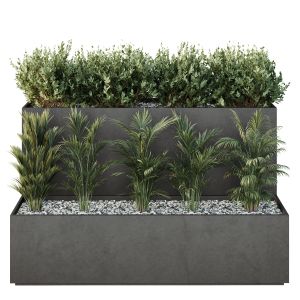 Hq Tree And Bush Garden Box Outdoor  Vol 55