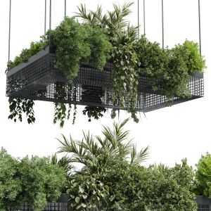 Hanging Plants - Indoor Plant Set 447 Rectangle Pe