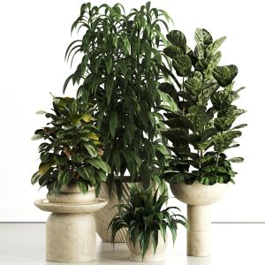 Indoor Plant In Concrete Pot Set 81