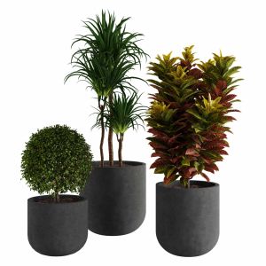 Set 3 Indoor Planters 02