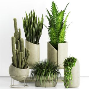 Indoor Plants In Rusty Concrete Pot - Set-83