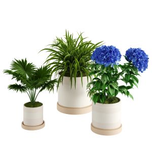 Sketchbook Ceramic Intdoor Planters